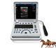 15 Veterinary Ultrasound Scanner Color Doppler Laptop Machine Vet Rectal Probe