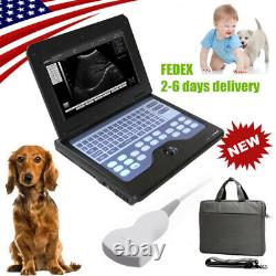 3.5Mhz Convex Probe VET Portable Veterinary Laptop Ultrasound Scanner Machine US