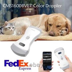Animal VET Color Doppler Handheld Digital Ultrasound Scanner Convex+Linear Probe