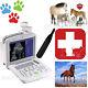Ce, Portable Lcd Ultrasound Scanner Machine Veterinary Using 7.5m Rectal Probe