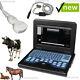 Contec Vet/veterinary/animal Portable B-ultrasound Scanner With Two Probes Usa
