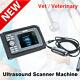 Carejoy Vet Handheld Digital Ultrasound Scanner Rectal Probe Animal+case Box