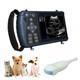 Dawei Professional Veterinary Ultrasound Machine With Rectal Probe, Convex Probe