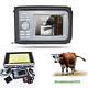 Digital Handheld Ultrasound Scanner Machine+ Animal Rectal Veterinary Fda/ce