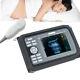 Digital Portable Handheld Ultrasound Scanner Cardiac+micro-convex Probe Tool Fda