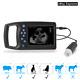 Digital Handheld Ultrasound Scanner Pig Swine Sheep Goat Pregnancy Testing Bu101