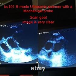 Digital handheld Ultrasound Scanner Pig Swine Sheep Goat Pregnancy testing BU101