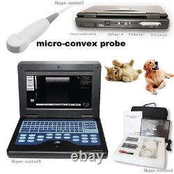 Dog/cat, Micro Convex Animal Ultrasound Scanner Veterinary Digital Laptop, VET