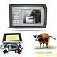 Handheld Animal Digital Ultrasound Scanner Unit Rectal Transducer Veterinary Usa