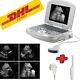 Handheld Digital Ultrasound Machine Medical Convex Probe+transvaginal Probe