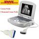 Handheld Digital Ultrasound Machine Medical Convex Probe+ultrasound Linear Probe