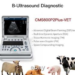 Laptop Veterinary B-Ultrasound Scanner VET Doppler Machine Convex probe RDA US