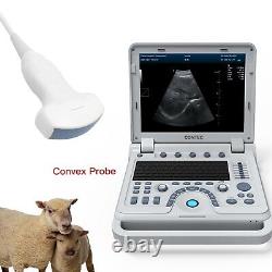 Laptop Veterinary B-Ultrasound Scanner VET Doppler Machine Convex probe RDA US