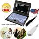 Laptop Veterinary Ultrasound Scanner 2 Probes Rectal Micro Convex Equine Dog Cat