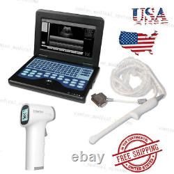 Portable Diagnostic Device Ultrasound Scanner Machine Transvaginal Probe 6.5mhz