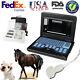 Portable Vet/veterinary B-ultrasound Scanner+3.5mhz Convex Probe For Horse, Goat