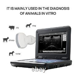 Portable Veterinary Ultrasound Machine CONTEC CMS600P2 Ultrsound scanner LAPTOP