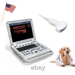 Portable Veterinary Ultrasound Scanner Laptop Convex Probe PW Pulse Wave Doppler