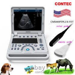 Pseudo-Color ultrasound scanner Laptop horse dog pregnancy vet ultrasound, Probes