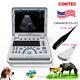 Pseudo-color Ultrasound Scanner Laptop Horse Dog Pregnancy Vet Ultrasound, Probes