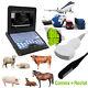 Us Digital Veterinary Ultrasound Scanner Portable Laptop Machine, 2 Probes Animal