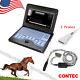 Us Portable Ultrasound Scanner Veterinary Pregnancy With Rectal, Linear Probe, Fda