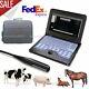 Us Vet Veterinary Portable Ultrasound Scanner Laptop Machine+7.5mhz Rectal Probe