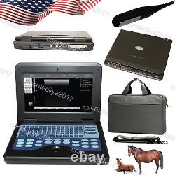 US, VET Veterinary ultrasound scanner Portable Laptop Machine Animal Rectal Probe