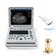 Us Veterinary Ultrasound Scanner Color Doppler Portable Vet Machine Convex Probe