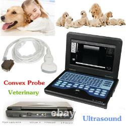 USA, Veterinary Laptop Ultrasound Scanner Machine 3.5mhz Convex Probe VET Animal