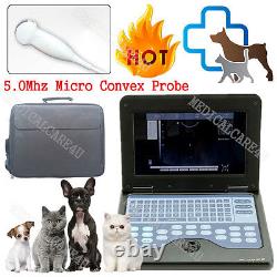 USA Veterinary Laptop Ultrasound Scanner Machine With Micro Convex cat/dog/PET VET