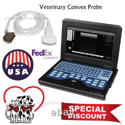 USA Veterinary Laptop Ultrasound Scanner Machine vet Convex Probe ultrasonic