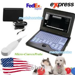 USA Veterinary Pregnancy Ultrasound Scanner Portable Laptop Machine Cat/Dog Use