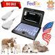 Usa Veterinary Ultrasound Scanner Laptop Machine 2 Probes Sheep/dog/pig/cat/pet