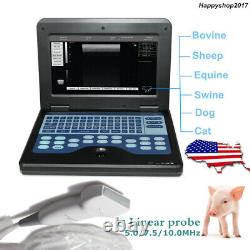 USA Veterinary Ultrasound Scanner Laptop Machine 7.5MHz Linear Probe VET Pig Dog