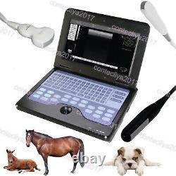 USA, Veterinary Ultrasound Scanner Laptop Machine CONVEX+Cardiac+Rectal 3 Probes