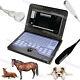 Usa, Veterinary Ultrasound Scanner Laptop Machine Convex+cardiac+rectal 3 Probes