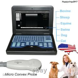 USA Veterinary Ultrasound Scanner Laptop Machine Micro Convex Dog Cat Pregnancy
