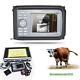 Vet Digital Handheld Ultrasound Scanner Machine+animal Rectal Probes/transducer