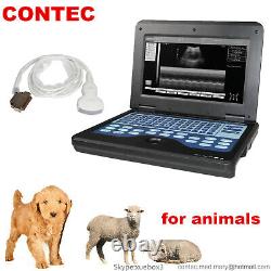 VET Ultrasound Scanner Laptop Machine 3.5Mhz Convex Probe For Animal CMS600P2