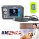 Vet Ultrasounic Scanner Ultrasound Machine Handheld W Animal Veterinary Probe Ce