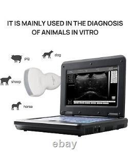 VET Veterinary Digital Portable Ultrasound Scanner Machine Laptop, Convex Probe