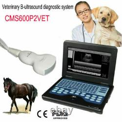 VET Veterinary Digital Portable Ultrasound Scanner Machine Laptop, Convex Probe