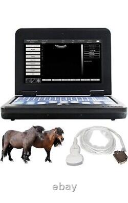 VET Veterinary Digital Portable Ultrasound Scanner Machine Laptop, Convex Probe