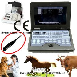 VET Veterinary Laptop B-Ultrasound scanner Diagnostic System+6.5Mhz rectal probe