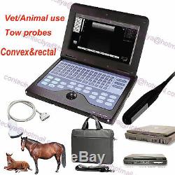 VET Veterinary Laptop Ultrasound Scanner Machine Rectal&Convex horse/equine/cow
