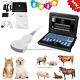 Vet Veterinary Portable Ultrasound Scanner Machine, Sheep/goat/pig Use New Contec