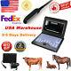 Vet Veterinary Portable Ultrasound Scanner Machine, Cowithhorse/animal, 7.5 Rectal
