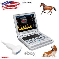 VET Veterinary color B-Ultrasound scanner Diagnostic Pregnancy Small Animal, FDA