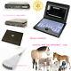 Vet Veterinary Portable Ultrasound Scanner Machine For Sheep/goat/pig, +convex